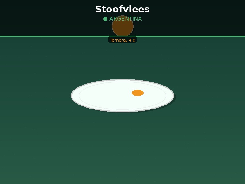 Stoofvlees